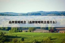 品牌策略概念（品牌策略概念是什么）