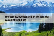 林肯冒险家2020款油耗多少（林肯冒险家2020款油耗多少钱）