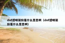 dnf透明装扮是什么意思啊（dnf透明装扮是什么意思啊）