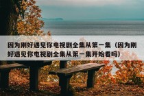 因为刚好遇见你电视剧全集从第一集（因为刚好遇见你电视剧全集从第一集开始看吗）