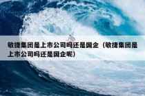 敏捷集团是上市公司吗还是国企（敏捷集团是上市公司吗还是国企呢）