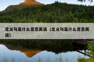 定义句是什么意思英语（定义句是什么意思英语）