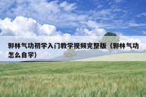 郭林气功初学入门教学视频完整版（郭林气功怎么自学）