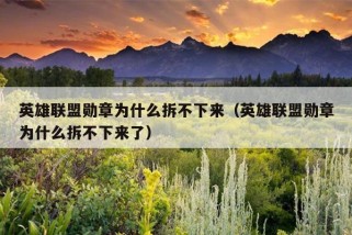 英雄联盟勋章为什么拆不下来（英雄联盟勋章为什么拆不下来了）