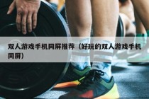 双人游戏手机同屏推荐（好玩的双人游戏手机同屏）