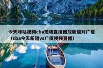 今天咪咕视频cba现场直播回放新疆对广夏（cba今天新疆vs广厦视频直播）