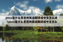 poss是什么意思啊英语翻译成中文怎么读（poss是什么意思啊英语翻译成中文怎么读）