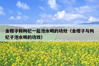 金樱子和枸杞一起泡水喝的功效（金樱子与枸杞子泡水喝的功效）