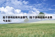 起个游戏名称大全霸气（起个游戏名称大全霸气女生）