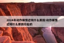 2024年动作缓慢迟钝什么原因:动作缓慢迟钝什么原因引起的