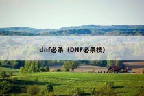 dnf必杀（DNF必杀技）