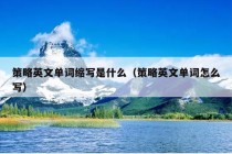 策略英文单词缩写是什么（策略英文单词怎么写）