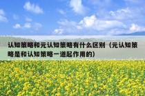 认知策略和元认知策略有什么区别（元认知策略是和认知策略一道起作用的）