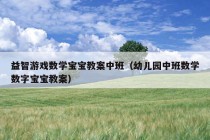 益智游戏数学宝宝教案中班（幼儿园中班数学数字宝宝教案）