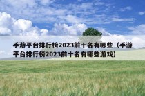 手游平台排行榜2023前十名有哪些（手游平台排行榜2023前十名有哪些游戏）