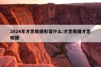 2024年才思敏捷形容什么:才思敏捷才思敏捷