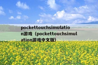 pockettouchsimulation游戏（pockettouchsimulation游戏中文版）