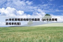 pc单机策略游戏排行榜最新（pc十大策略游戏单机版）