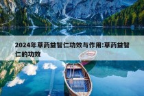 2024年草药益智仁功效与作用:草药益智仁的功效