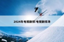 2024年电视剧惊:电视剧惊涛