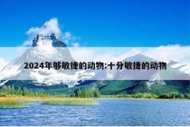 2024年够敏捷的动物:十分敏捷的动物