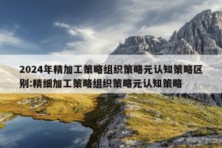 2024年精加工策略组织策略元认知策略区别:精细加工策略组织策略元认知策略