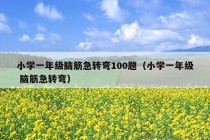 小学一年级脑筋急转弯100题（小学一年级 脑筋急转弯）