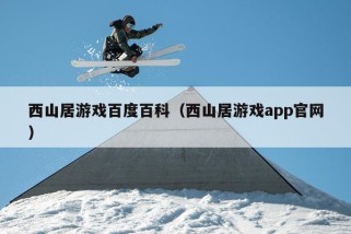 西山居游戏百度百科（西山居游戏app官网）