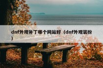 dnf外观补丁哪个网站好（dnf外观装扮）