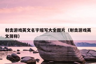 射击游戏英文名字缩写大全图片（射击游戏英文简称）