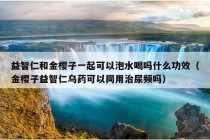 益智仁和金樱子一起可以泡水喝吗什么功效（金樱子益智仁乌药可以同用治尿频吗）