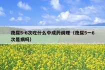 夜尿5-6次吃什么中成药调理（夜尿5一6次是病吗）