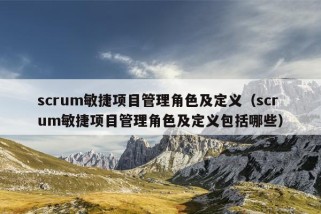 scrum敏捷项目管理角色及定义（scrum敏捷项目管理角色及定义包括哪些）