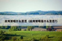 应用策略什么意思（应用策略是什么意思?）