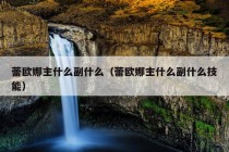 蕾欧娜主什么副什么（蕾欧娜主什么副什么技能）