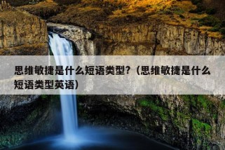 思维敏捷是什么短语类型?（思维敏捷是什么短语类型英语）