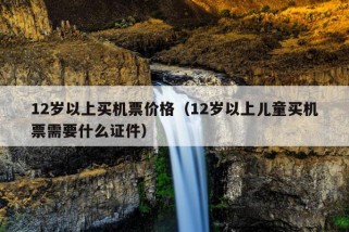 12岁以上买机票价格（12岁以上儿童买机票需要什么证件）