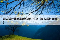 双人成行蜂后最后阶段打不上（双人成行蜂群）