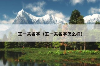 王一夫名字（王一夫名字怎么样）