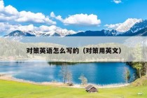 对策英语怎么写的（对策用英文）