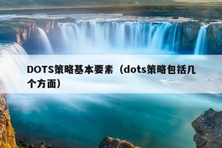 DOTS策略基本要素（dots策略包括几个方面）