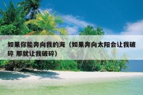 如果你能奔向我的海（如果奔向太阳会让我破碎 那就让我破碎）