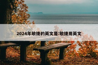 2024年敏捷的英文是:敏捷用英文