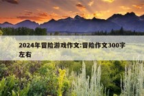 2024年冒险游戏作文:冒险作文300字左右