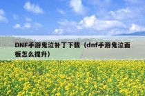 DNF手游鬼泣补丁下载（dnf手游鬼泣面板怎么提升）