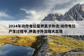 2024年动作电位是钾离子外流:动作电位产生过程中,钾离子外流增大出现