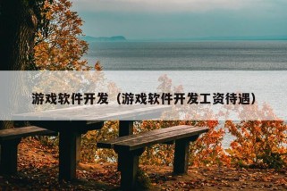 游戏软件开发（游戏软件开发工资待遇）