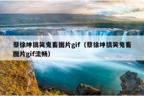 蔡徐坤搞笑鬼畜图片gif（蔡徐坤搞笑鬼畜图片gif流畅）