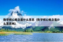 数学核心概念是什么意思（数学核心概念是什么意思啊）