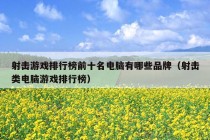 射击游戏排行榜前十名电脑有哪些品牌（射击类电脑游戏排行榜）